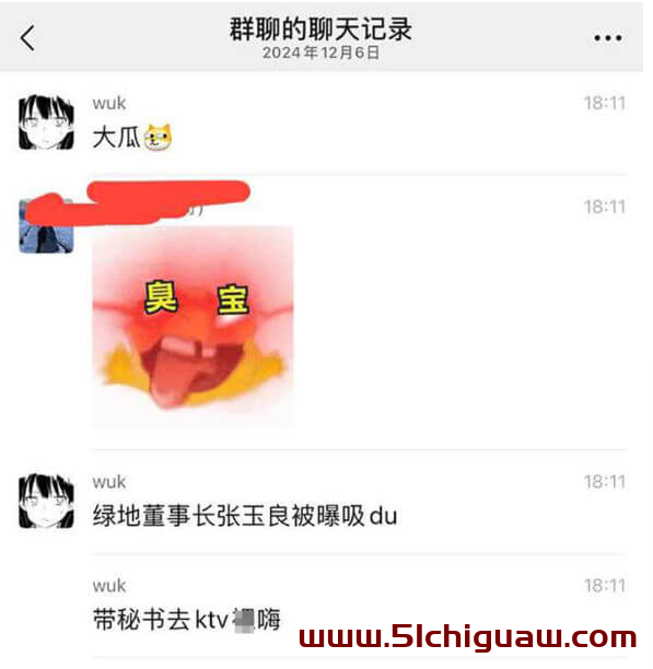 张玉良事件：网络时代的真实与虚假